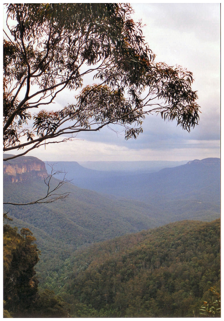 02 - Blue Montains (3).jpg